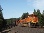 BNSF 7121